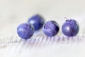 Four blueberries, short DOF