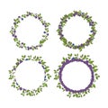 Four blueberry round frame for decor