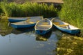 Four boats moored on shore