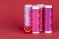 Four bobbins of sewing thread of different shades of pink with a red button and a needle isolated on red Royalty Free Stock Photo