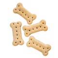 Four bone shaped dog biscuit