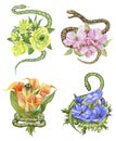 Four bouquets WITH SNAKES