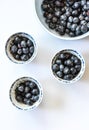 Four bowls of fresh blueberries on a white background