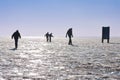 Four boys making a careful walk on a frozen lake Royalty Free Stock Photo