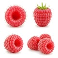 Four bright red raspberries isolated on a white background showing different views raspberry Royalty Free Stock Photo