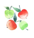 Four bright red ripe apples isolated watercolor hand sketch