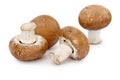 Four brown mushrooms