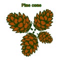 Four brown pine cones, pattern on white background,