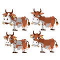 Four brown and spotted cows chewing grass Royalty Free Stock Photo