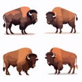 Four buffalo standing in a row, one of which is facing the camera Royalty Free Stock Photo