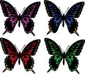 Four butterflies