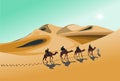 Four camel riders are hiking in the hot sun in the desert with sand mountain background