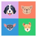 Four Canine Heads of Pedigreed Dogs Doggie Concept Royalty Free Stock Photo