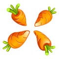 Four Carrots cartoon illustration