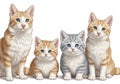 Small kitten matching the orange tabby pattern, and a gray-striped kitten Royalty Free Stock Photo