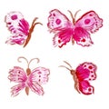 Four cartoon watercolor pink butterflies isolated on white background Royalty Free Stock Photo