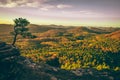 Four castles view, RÃÂ¶tzenfels, a sandstone rock with a cross and a tree. Sunrise, fog, Palatinate Forest, Germany. landscape shot Royalty Free Stock Photo