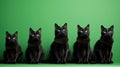 Four Cats in Green: A Minimalistic and Superb Clean Image AI Generated