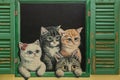 Four cats at the green opened window painting