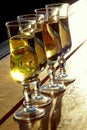 Four champagne wine glasses in the sunset light, celebration Royalty Free Stock Photo