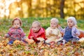 Four cheerful little baby sitting on yellow autumn