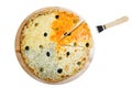 Four cheese pizza Royalty Free Stock Photo