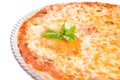 Four Cheeses Pizza on the plate Royalty Free Stock Photo