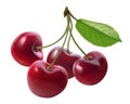 Four cherries together and leaf isolated on white background