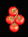 Cherry tomatoes on a black background Royalty Free Stock Photo