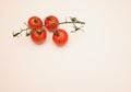 Four cherry tomatoes on a stalk against plain white background Royalty Free Stock Photo