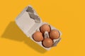 Four chicken eggs in cardboard egg