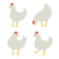 Four chicken