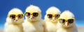 four chicks, AI generated Royalty Free Stock Photo