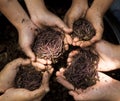 Four child hands holding Fertile soil