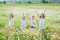 Four children in a flowery chamomile meadow. Friends are having fun in a field of daisies. Boys and girls wave their hands and