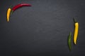 Four chili peppers on slate stone. Royalty Free Stock Photo