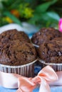 Four chocolate muffins with pink ribbon Royalty Free Stock Photo