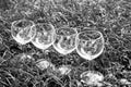 Four wine glasses in the grass in monochrome Royalty Free Stock Photo