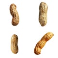Four Close-Up Images of Peanuts in their Shells Royalty Free Stock Photo