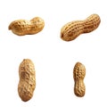Four Close-Up Images of Peanuts in Their Shells Royalty Free Stock Photo