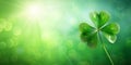 four clover leaf wallpaper background AI-Created Content