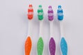 Four colored toothbrushes on white background. Royalty Free Stock Photo