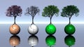 Four colored trees and earth for four seasons Royalty Free Stock Photo