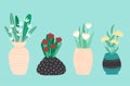 Four colorful flower bouquets in vases with patterns. Flat style. Vector illustration