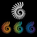 Four colorful nautilus spirals to choose from