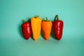 Colorful Sweet Pepper. Sweet Red Yellow And Orange Pepper Set Of Three Colored Vegetables Royalty Free Stock Photo