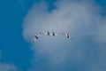 Commercial aircraft flying in formation against a backdrop of a blue sky