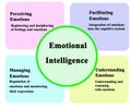 Components of Emotional Intelligence Royalty Free Stock Photo