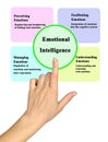 Components of Emotional Intelligence Royalty Free Stock Photo