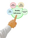 Components of Healthy Self-esteem